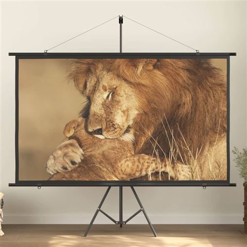vidaXL Écran de projection avec trépied 90 16:9