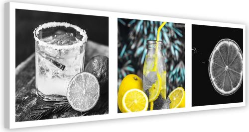 Cadre moderne Tableau sur toile Image murale Canevas Set Boisson Citron 140x45