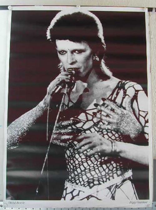 Bowie David - 64x90 cm - AFFICHE / POSTER