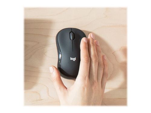 Logitech MK295 Silent - Toetsenbord en muis set - draadloos - 2.4 GHz - Italiaans - grafiet