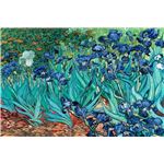 Van Gogh - Les Irises - 61x91,5cm - AFFICHE