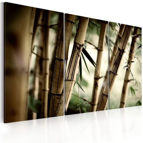 Tableau - forêt tropicale .Taille : 120x80