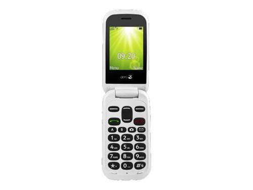 Doro 2404 - Téléphone mobile - microSD slot - GSM - 320 x 240 pixels - TFT - RAM 16 Mo - 0,3 MP - rouge