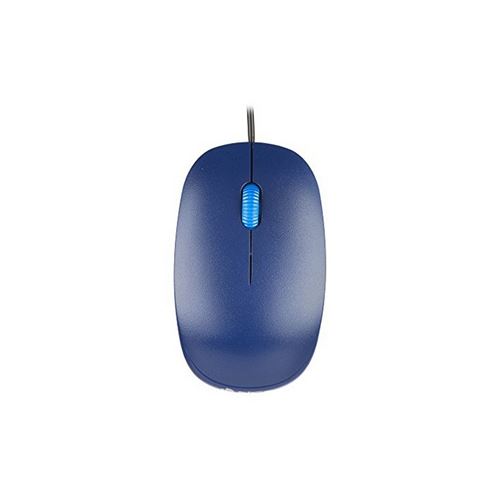 Ngs Bleue Flame - Image 5