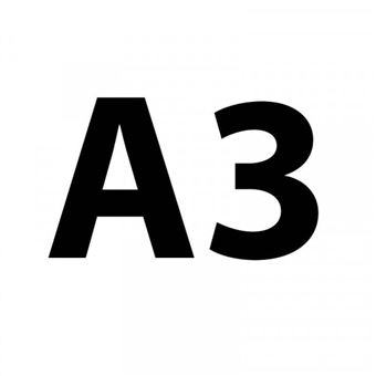 Bloc de 20 feuilles A3 Clairefontaine Carb'ON