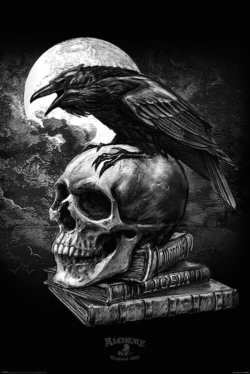 Alchemy Maxi Poster 61 x 91,5 cm Poe's Raven