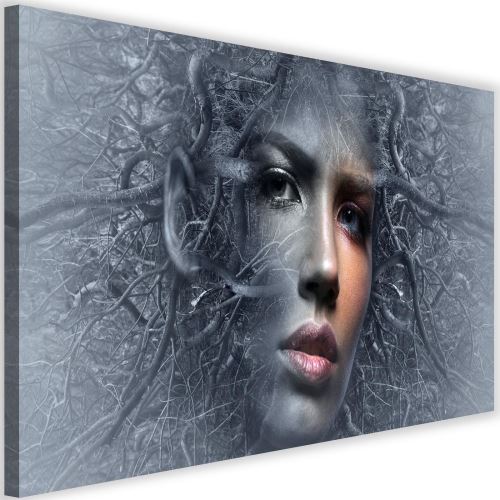Cadre Moderne Tableau Sur Toile Image Murale Canevas Visage Femme Branches Fantasy 120x80 Achat Prix Fnac