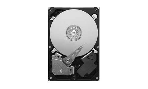 Seagate Pipeline HD ST3500312CS - Vaste schijf - 500 GB - intern - 3.5 - SATA 3Gb/s -buffer: 8 MB
