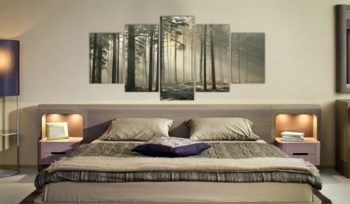 100x50 Tableau Forêt Paysages sublime Lumière dans une sombre forêt