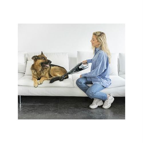 Cecotec Noir Aspirateur Manuel Conga Popstar Micro Animal 18,5 V 110W - Image 4