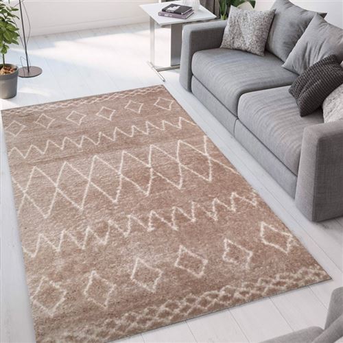 Tapis de salon ultra doux Pet Friendly de style shaggy Marrakesh TOR001, Taille: 200 x 300