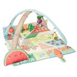 Tapis d'eveil potager