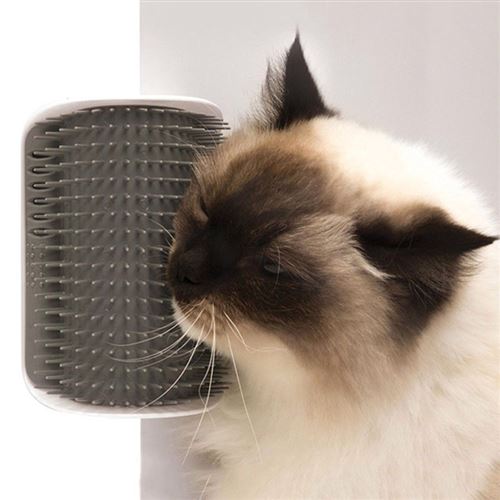 Brosse d'angle de toilettage pour chat.