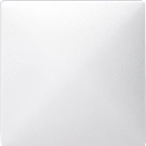 Merten 573719 Sensorfläche, polarweiß, System Fläche