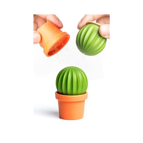 Sel et poivre 2 en 1 - Cactus