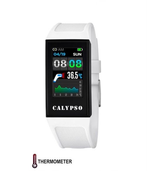 Montre Homme Calypso s K8501/1