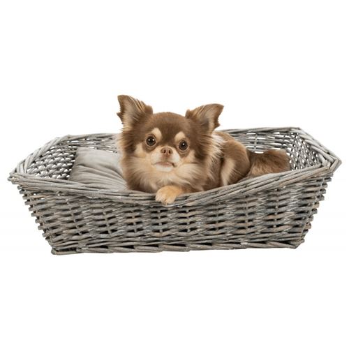 Meilleurs prix pour Corbeille en osier avec coussin 50 x 37 cm petit chien ou chat - Trixie - TR-28091
