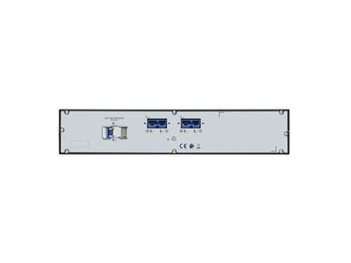 APC Easy UPS SRV SRV2KRILRK - Onduleur (rack-montable) - CA 220/230/240 V - 1600 Watt - 2000 VA - RS-232 USB - connecteurs de sortie : 4 - PFC - avec Kit de rail