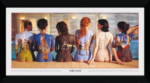 Photographie encadree Pink Floyd Back Catalogue 50x100cm