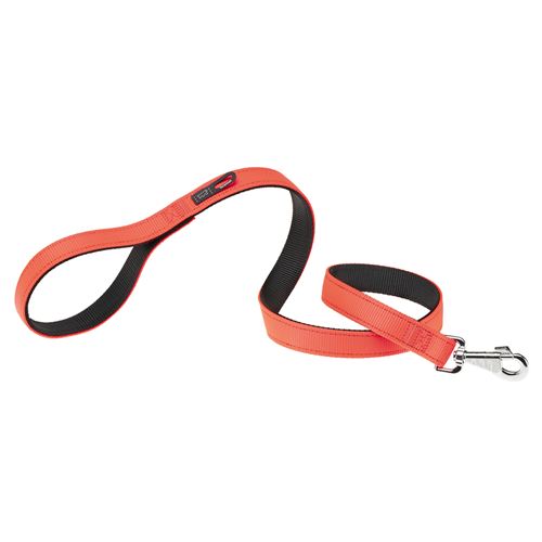 Meilleurs prix pour Ferplast DUAL G25/110 COLOURS Laisse chien 25 mm x L 110 cm Orange Orange