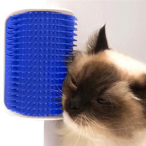 Brosse d'angle de toilettage pour chat - Bleue