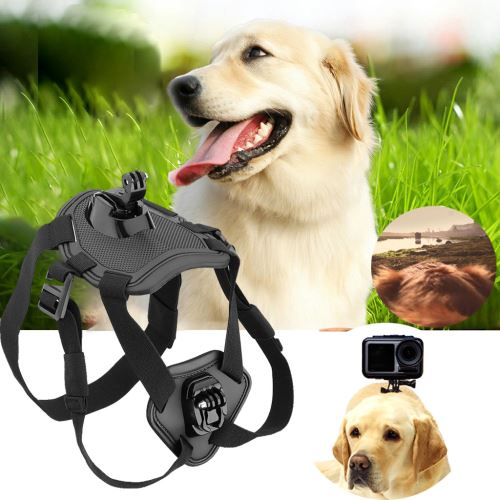 Pet Fetch Dog Pet poitrail Mont Sangle shoot Image Pour DJI OSMO action