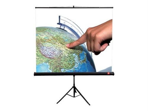 AVTek Tripod Standard 200 - Écran de projection avec trépied - 111 (283 cm) - 1:1 - blanc mat - noir