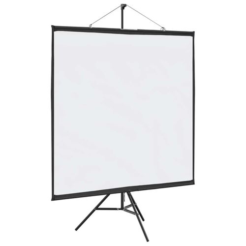 vidaXL &Eacute;cran de projection tr&eacute;pied 81 pouces
