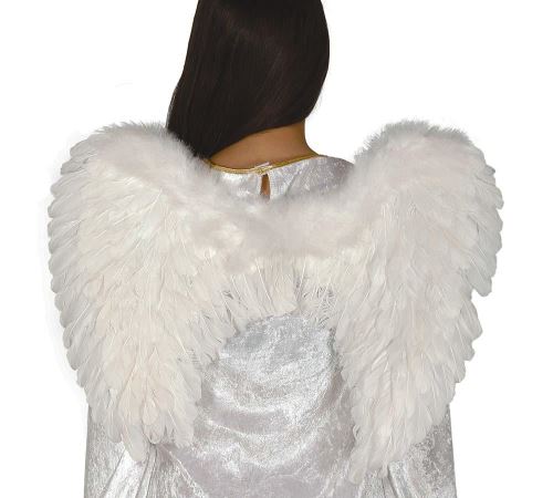 Ailes d´Ange plumes 60x45 cm
