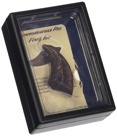 Collecta prehistoriePointe de T-Rex 115 cm brun foncé
