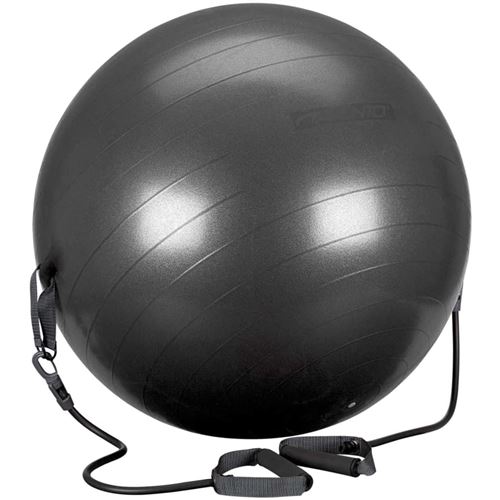 Avento Ballon de fitness et tubes de résistance 65 cm Noir 41TO-ZWG-65