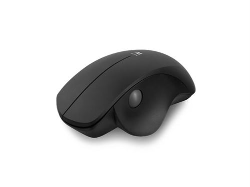 Ewent EW3151 - Souris - ergonomique - 2 boutons - sans fil - 2.4 GHz - récepteur sans fil USB