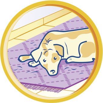 Swirl 208012 Brosse pour poils d'animaux