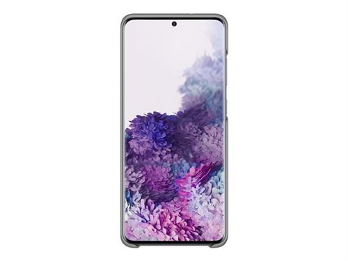 Samsung LED Back Cover EF-KG985 - Achterzijde behuizing voor mobiele telefoon - grijs - voor Galaxy S20+, S20+ 5G