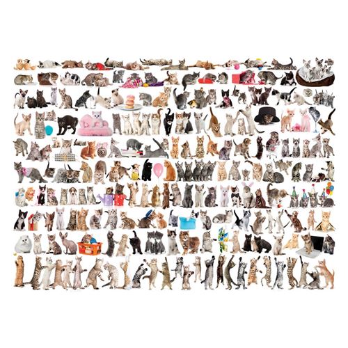 EurographicsPuzzles - Chats - puzzle - 1000 pièces