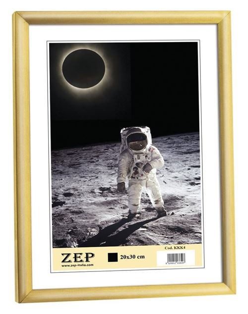 Zep KG1 Collection Basic Cadre Photo Résine Doré 10 x 15 cm