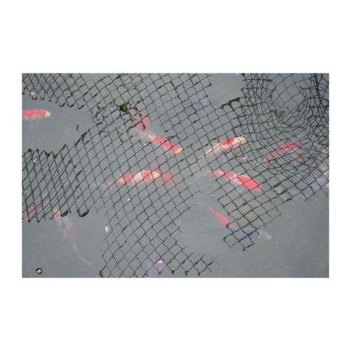 laguna filet protecteur pour bassin 4,5 x 6 m (15 x 20 pi) - noir - pour poisson