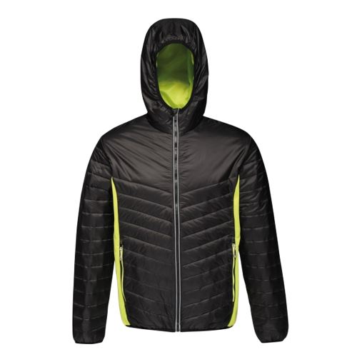 Regatta - Veste thermique LAKE PLACID - Homme (XL) (Noir/vert clair) - UTRG3555