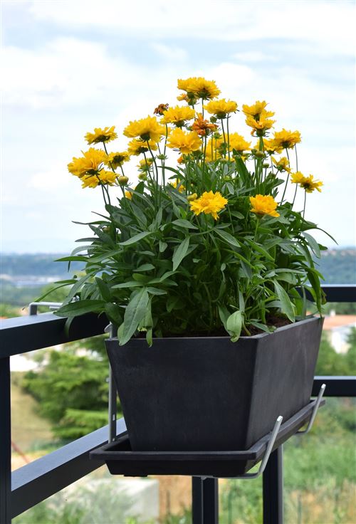 Support Jardiniere Balcon Supports Jardinière Réglables Lot De 2 - Pour Balcon, Clôture, Terrasse Accroche Pots Balcon