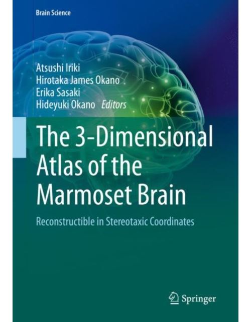 The 3-Dimensional Atlas of the Marmoset Brain État correct - N/A reconditionné disponible sur Fnac