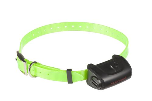 NUM'AXES - Collier seul Canicom 5 sangle verte fluo