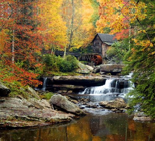 Rideau imprimé décors d' automne cabane en bois roue à aube et végétation 280x245 cm, 2 parts