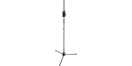 Pied Micro Gravity Ms 43