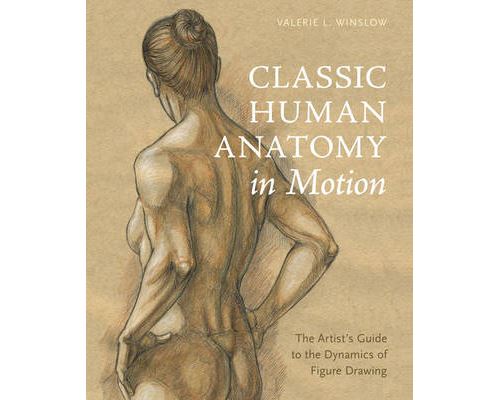 Classic Human Anatomy in Motion: The Artist's Guide to the Dynamics of Figure Drawing : Book by Valerie L. Winslow