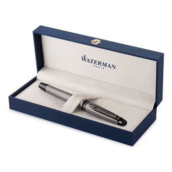 Stylo roller Waterman Expert Métallique Argenté pointe fine