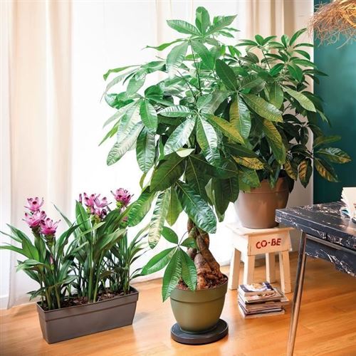 Pot de fleurs à réserve d'eau Ninfea R Verde - 40 cm - Vert - Résistant au  gel et aux UV - Jardinières et bacs - Achat & prix