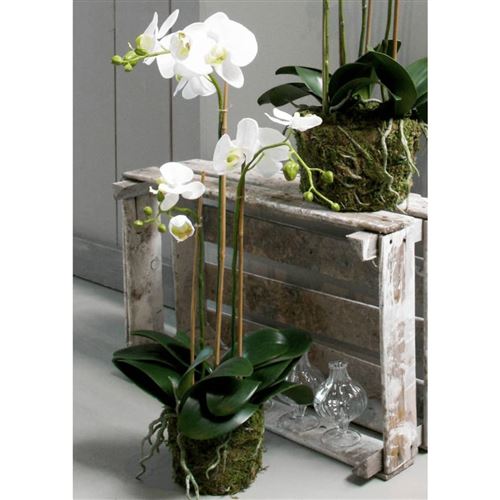 Emerald Orchidée phalaenopsis artificielle 70 cm Blanc