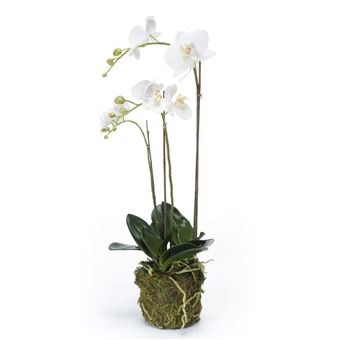 Emerald Orchidée phalaenopsis artificielle 70 cm Blanc - Décoration d' extérieur à la Fnac