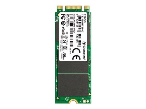 Transcend MTS600 256 Go