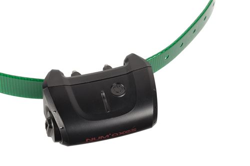NUM'AXES -Collier seul Canicom 5 sangle verte foncée
